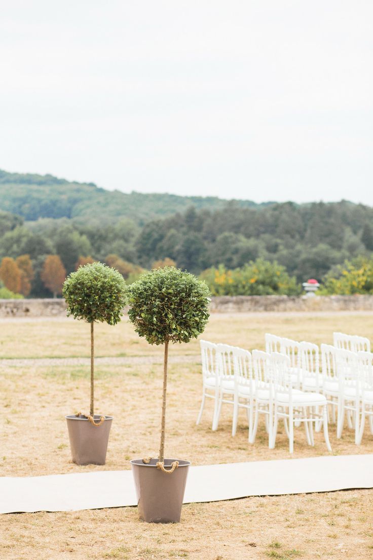 Wedding aisle Inspiration-potted plants-olive trees