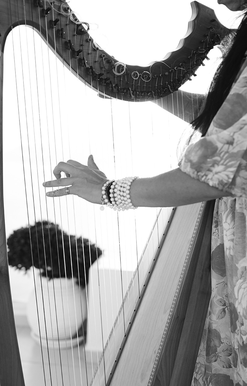 Harp at the wedding