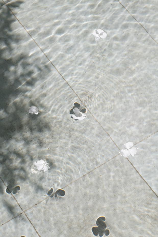 Mediterranean Wedding Elegance - Italy