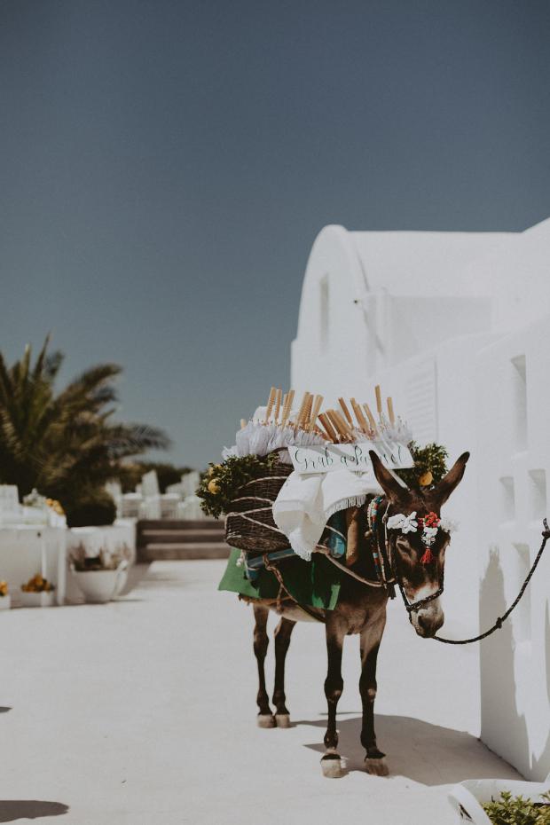 Wedding in Greece- Grab & parasol donkey